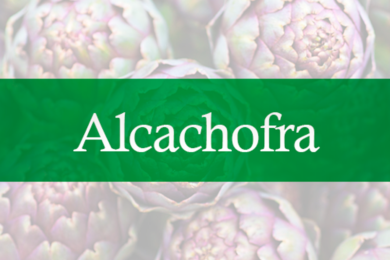 Alcachofra
